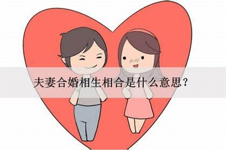 什么样面相的女人财运好