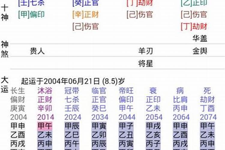 八字食伤是什么意思