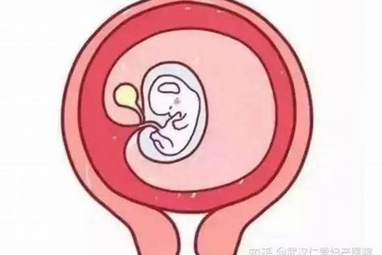 属猪孩子婚姻不顺吗怎么办呢视频解说