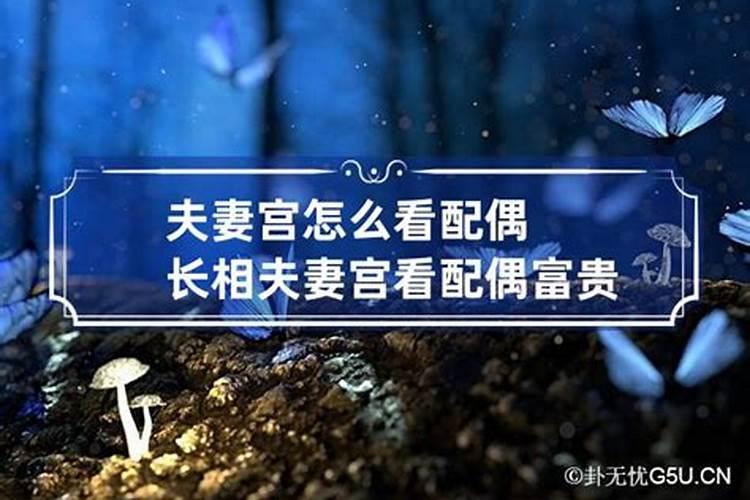 提运气和转运气有什么区别