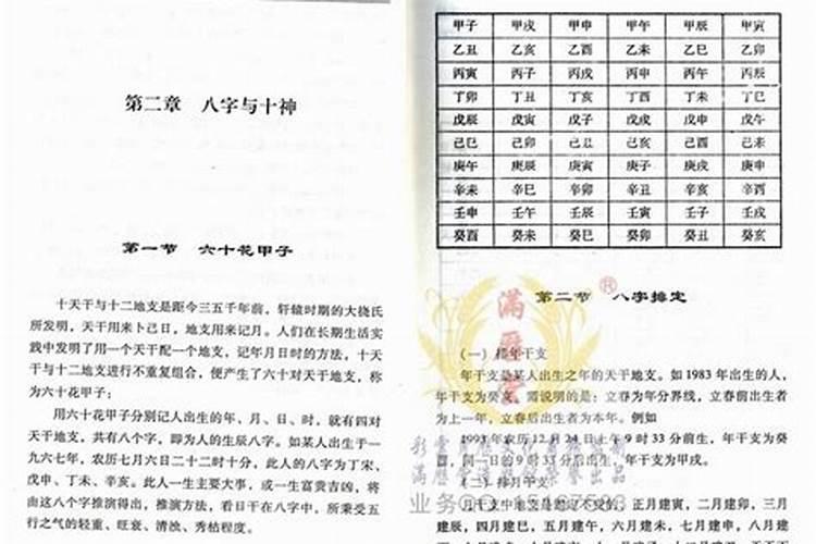 属兔今年适合买车吗吉利吗女孩子怎么样