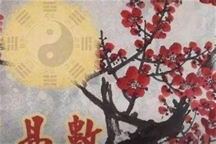 明年4月4日是什么生肖