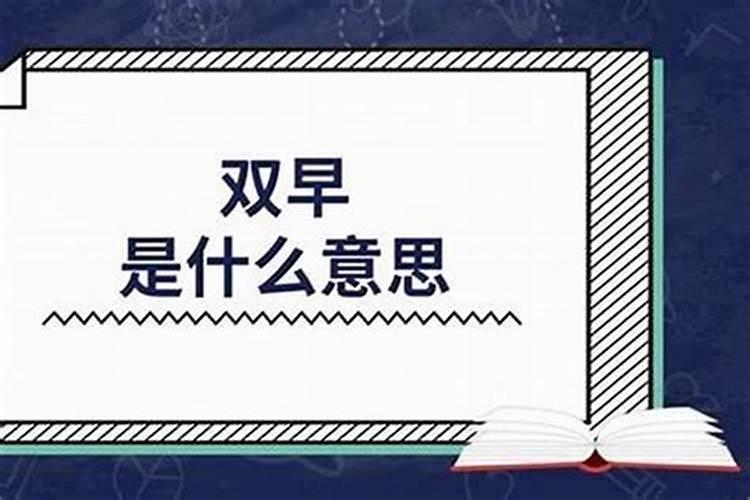 属兔的今年几岁对应岁数是多少啊