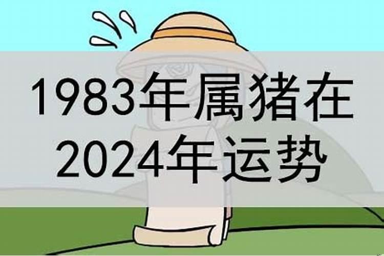 属猪在2024