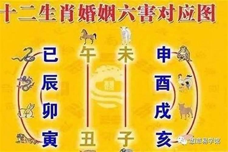 属蛇几月份好几月份不好