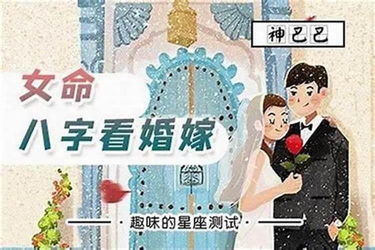 老鼠跟鸡属相合吗婚姻如何