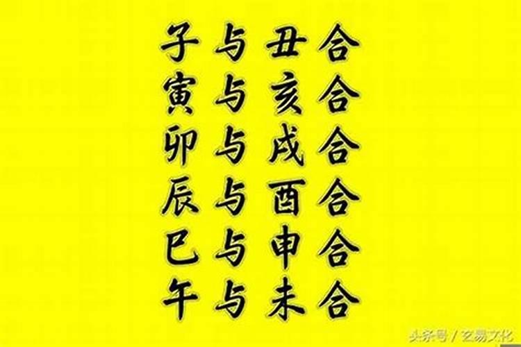 八字六字合是上等婚姻吗