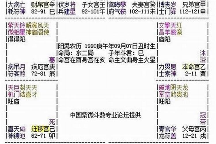 属猪人今年运气咋样呢女生