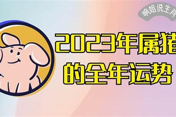 生肖猪2023年全年运势如何