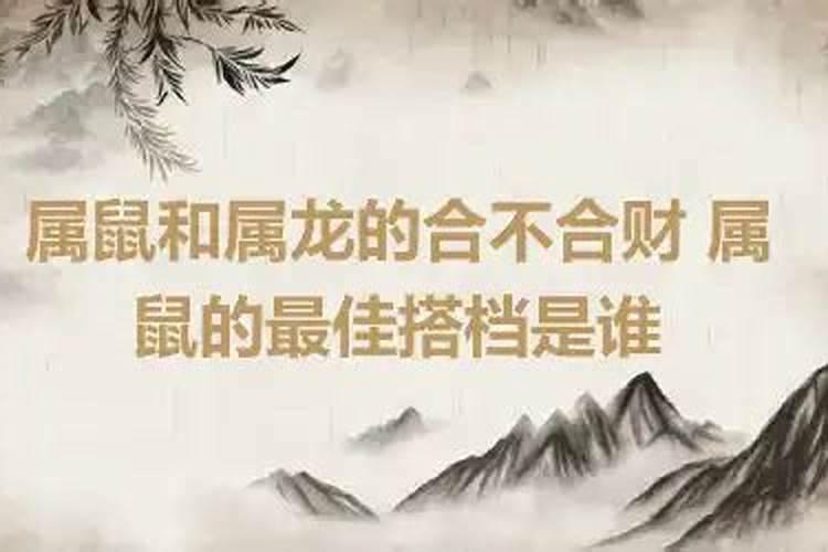 属鼠和属龙的八字合吗