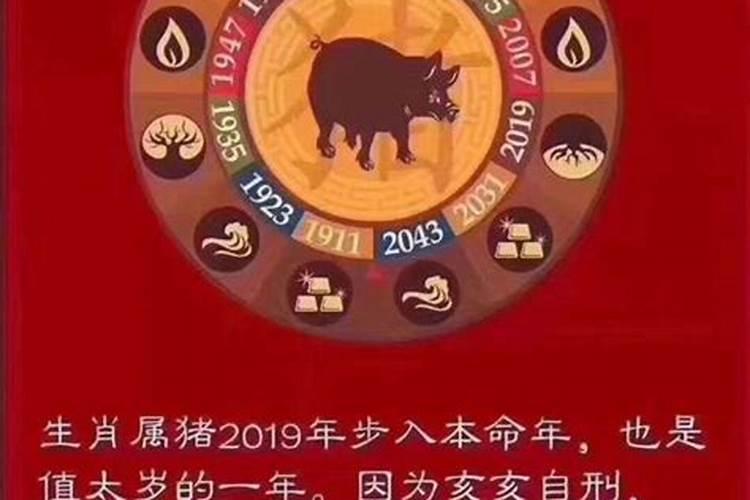 2019年犯太岁属相的弊端