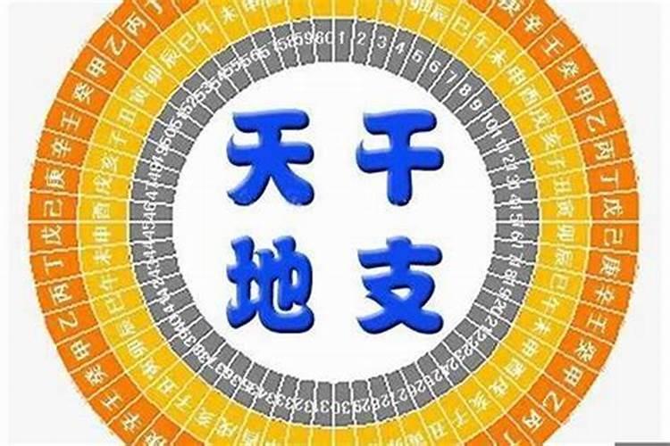 属虎哪一年是本命年