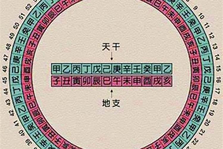 合八字说带流虾什么意思