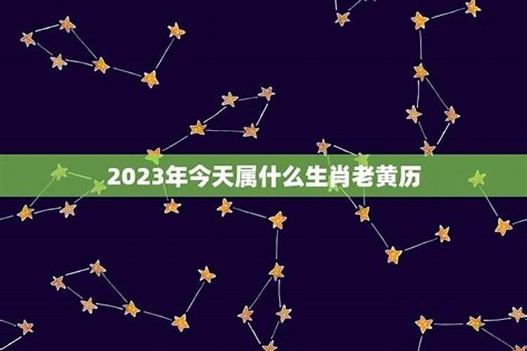 今天属什么生肖老黄历2021年1月26日