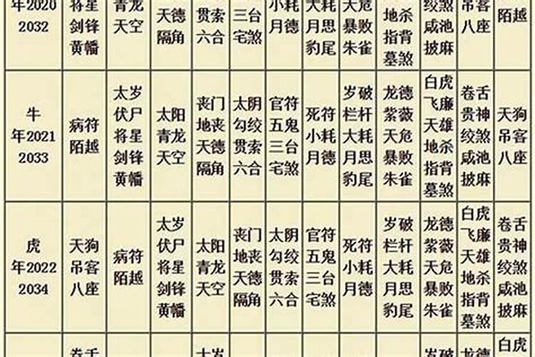 大运流年是什么意思什么是大运年