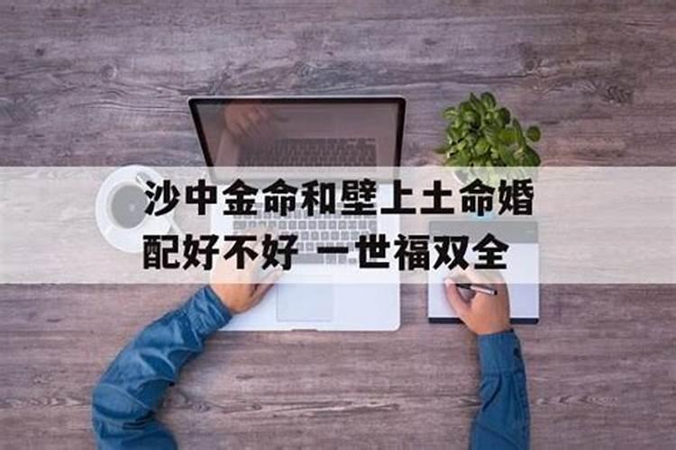 沙中金和壁上土的命合婚吗