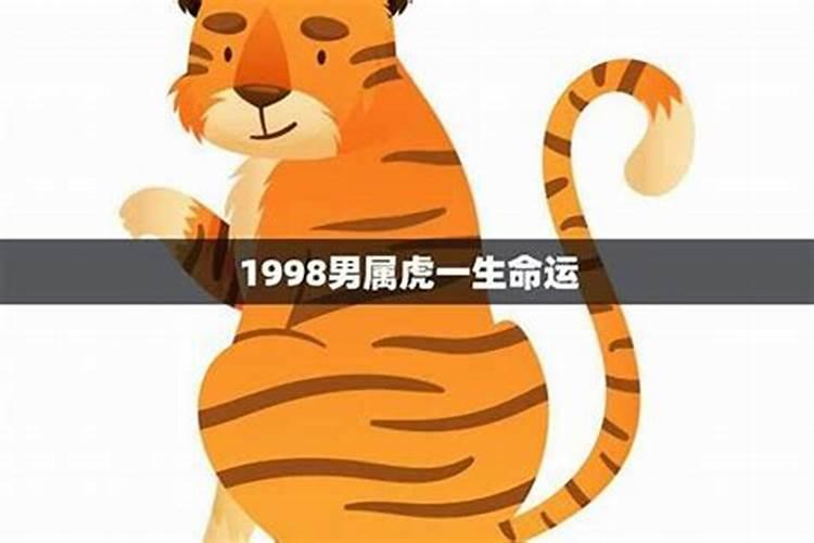 98年虎命运如何