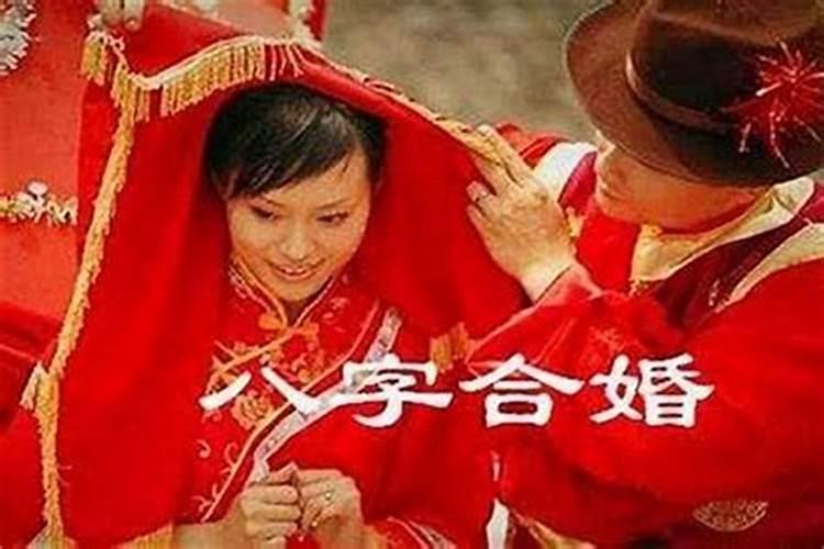 属猪跟什么属相合适结婚好