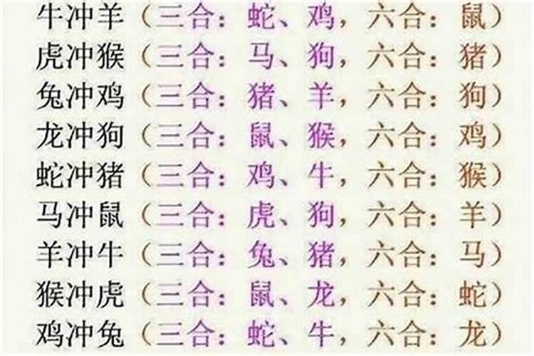 属羊的和哪个属相八字最合