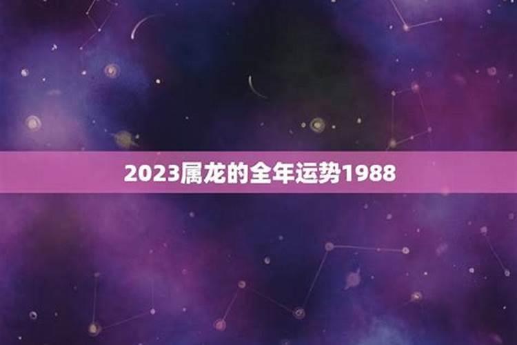 2023年属龙的运势和财运1988年