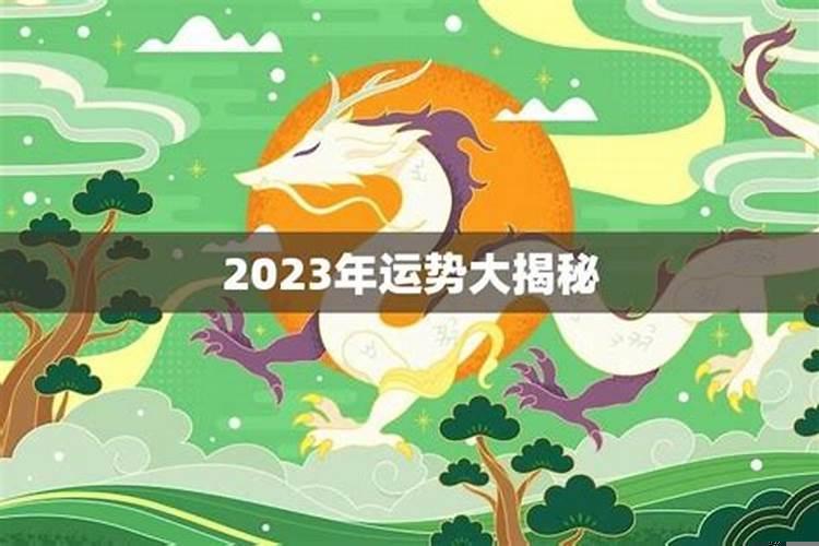 生肖龙的今年财富运势如何啊女生