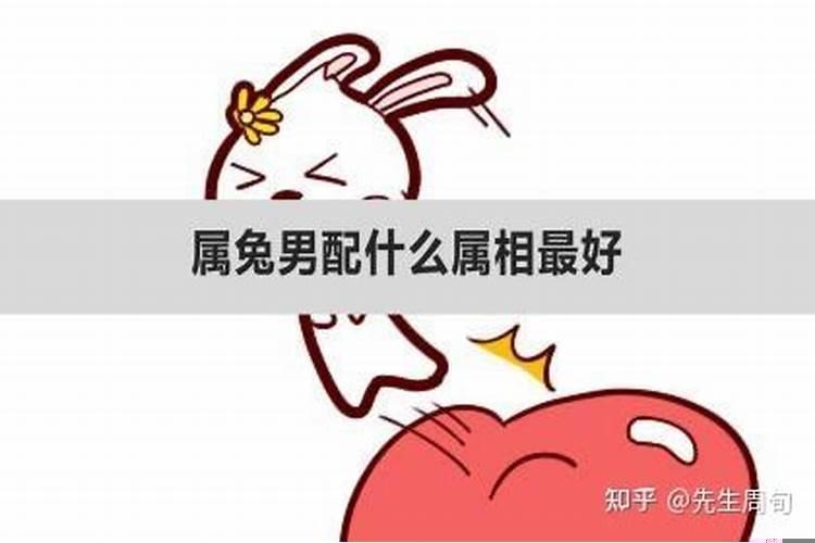 男兔和什么属相婚配表