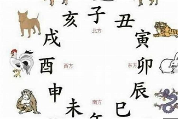 属虎与属兔八字合吗