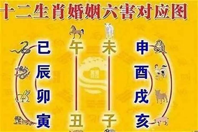 结婚避的属相没避会怎么样