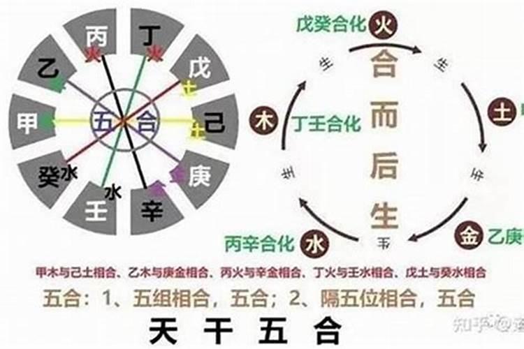 八字里面合代表什么意思