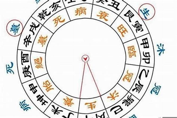 正官被合的八字什么样