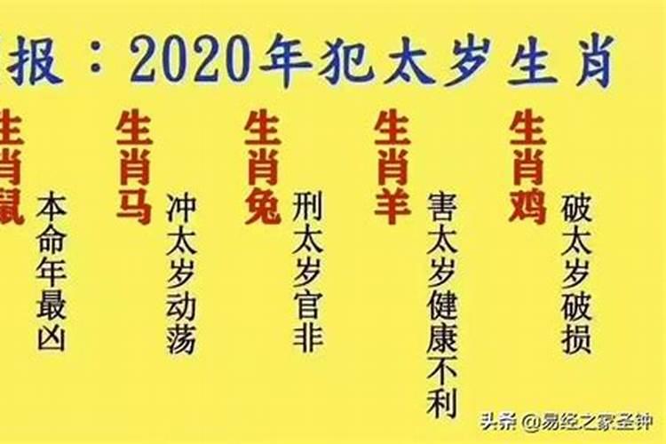 2020鼠年犯太岁的生肖有哪几个