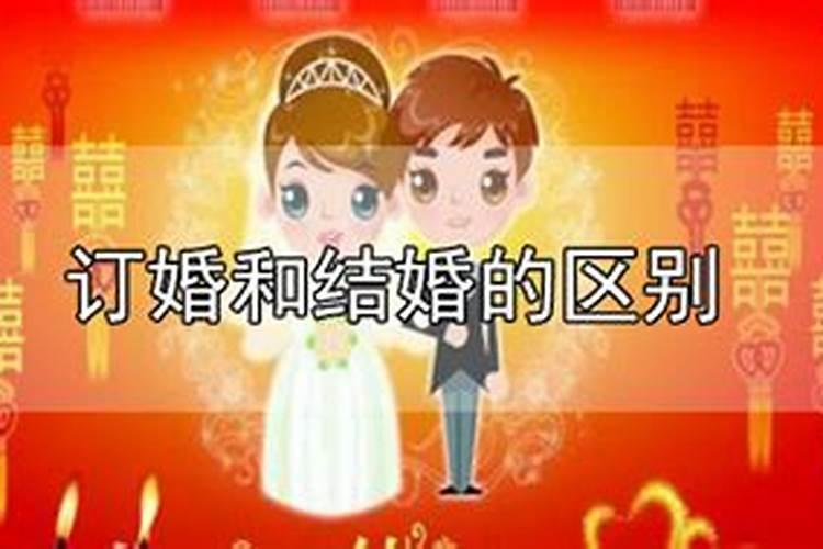 合婚订婚什么生肖