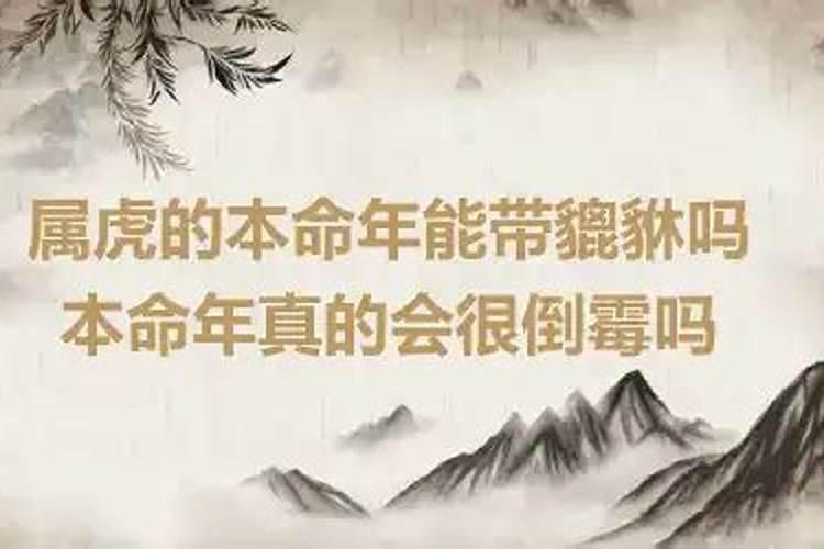 算命火星是什么意思