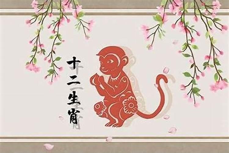 属相同属猴婚配怎样