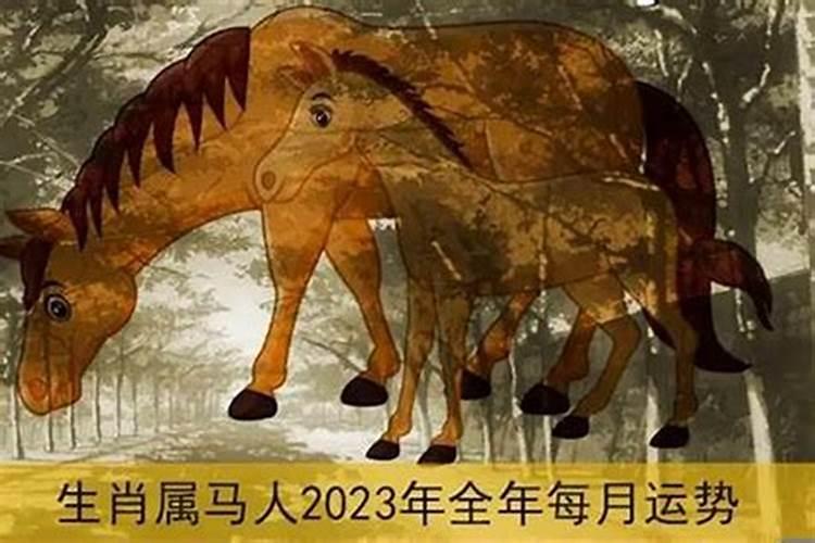 属马人今年运势2021年每月运势女性运程