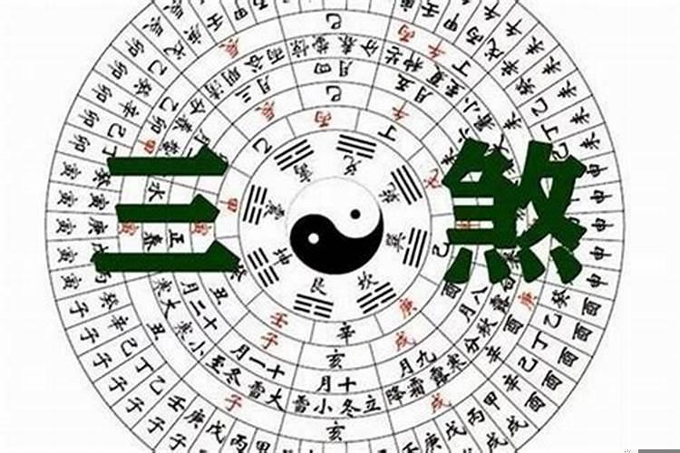 属兔人鼠年犯太岁吗