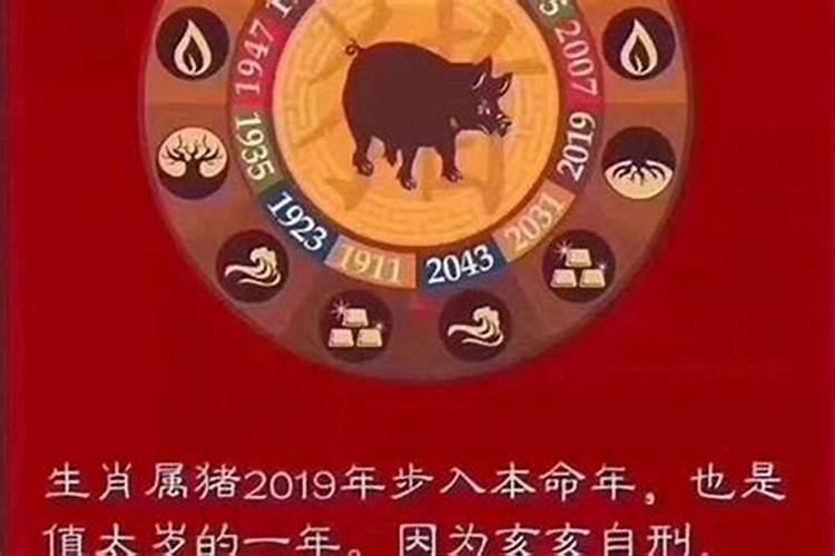 犯太岁2019生肖是什么意思