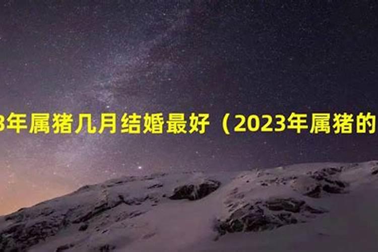 属猪2021年适合结婚的月份是什么时候出生