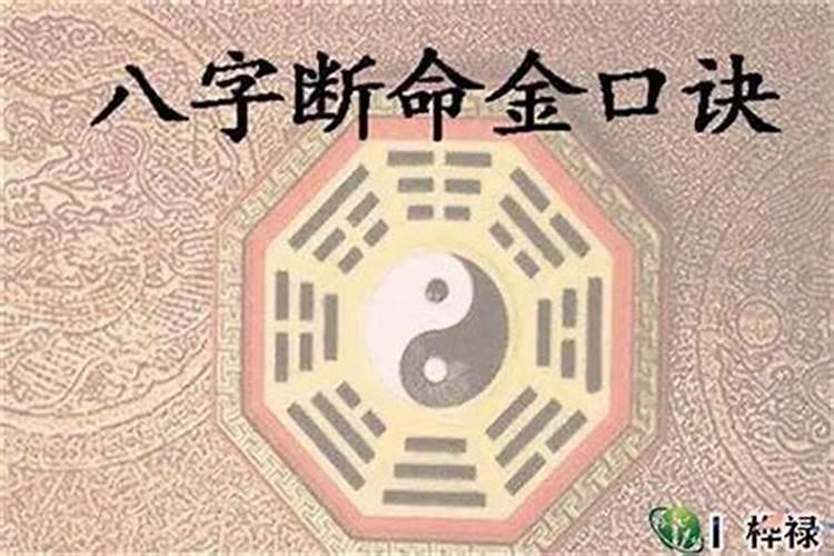 三分努力七分运气一分贵人扶持