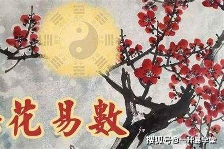 怎样从梅花易数中看婚姻