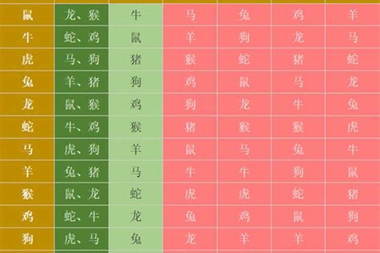 属相三合一什么意思