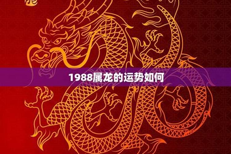 属龙的今年运气怎么样1988