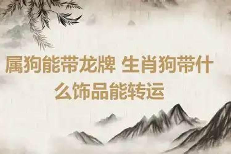 属狗戴什么助运物件好