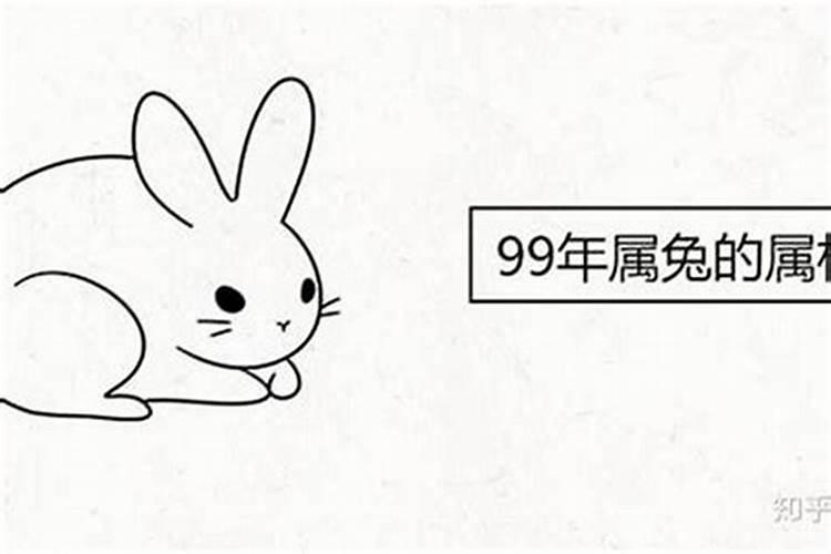 1987年属兔的今年几岁啦啊女孩名字怎么取