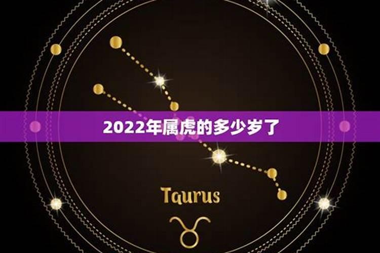 属虎2022多大岁数