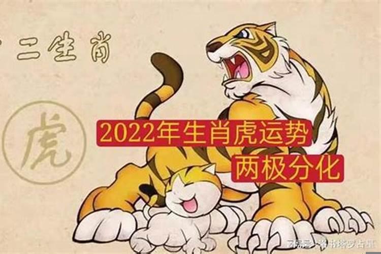 2022年生肖虎运势运程