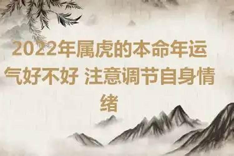 2022年属虎本命年要注意什么