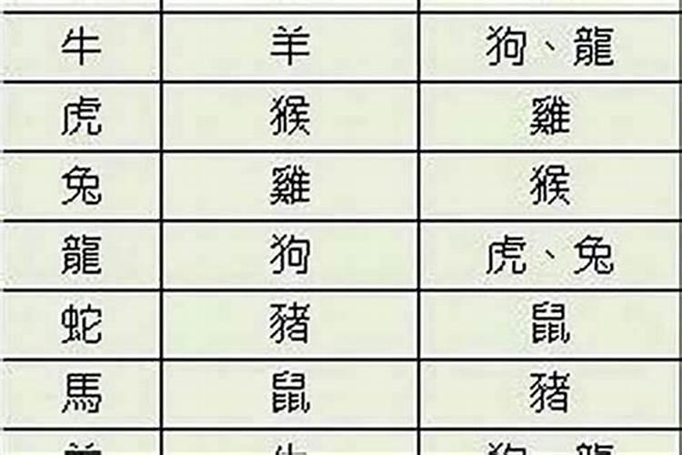 女兔女牛八字合吗