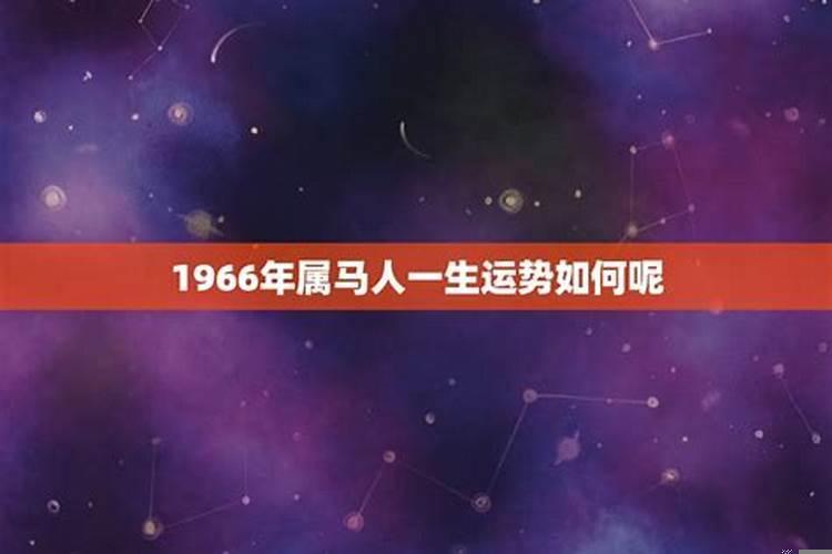 1966年属马的2021年运势怎么样