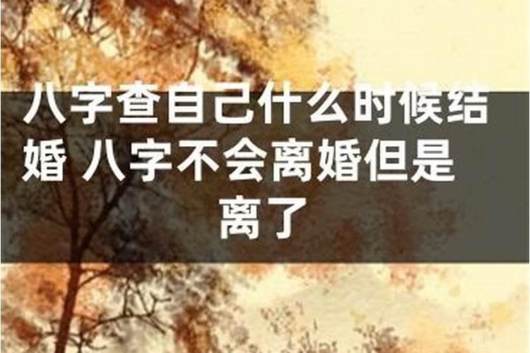 不会离婚的八字离婚了